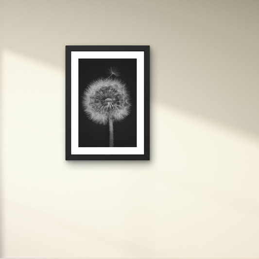 Detailed wall art of a dandelion in black and white, capturing its ephemeral beauty.




