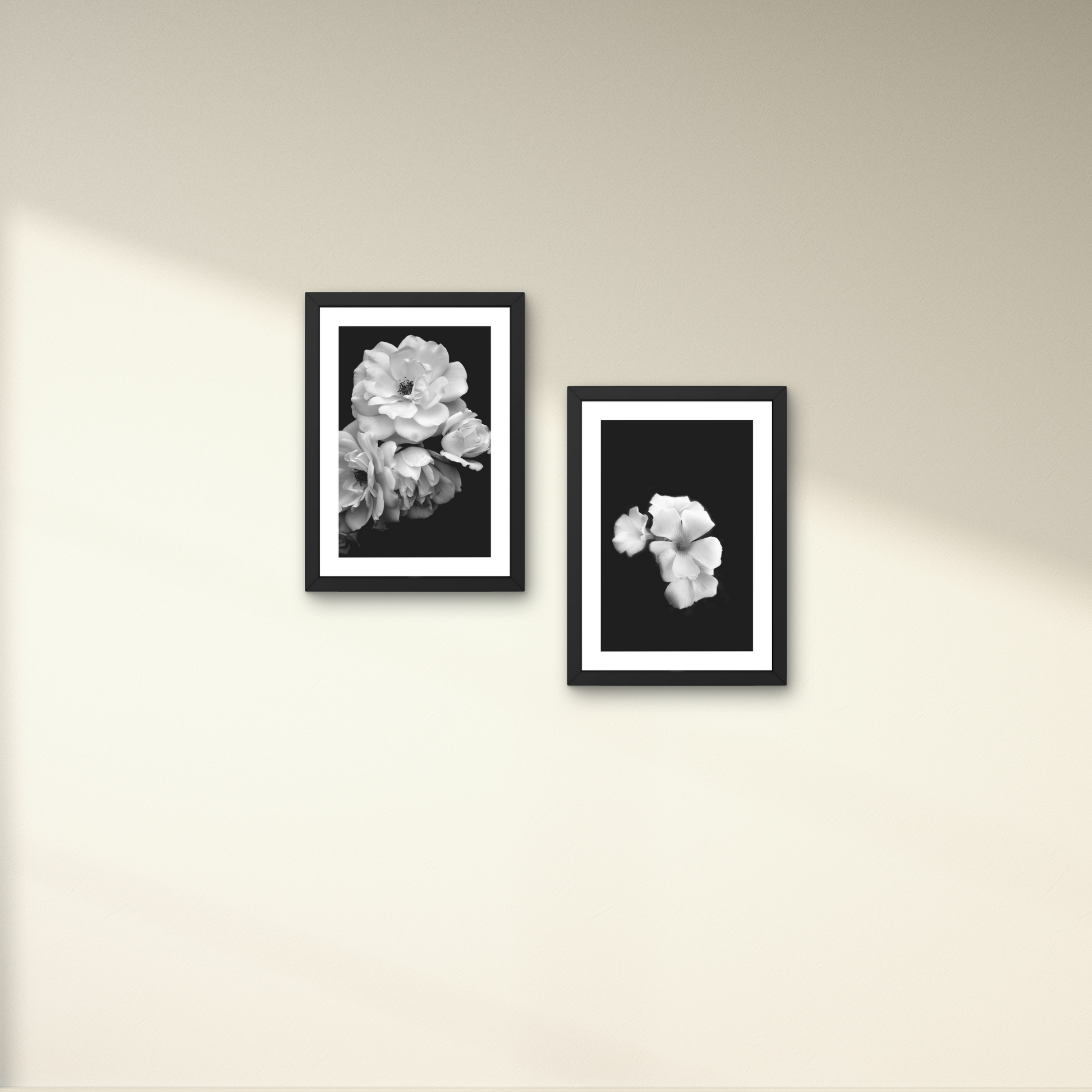 Elegant black and white floral wall art with soft petals against a dark background.



