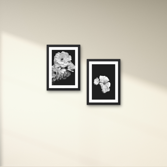 Elegant black and white floral wall art with soft petals against a dark background.



