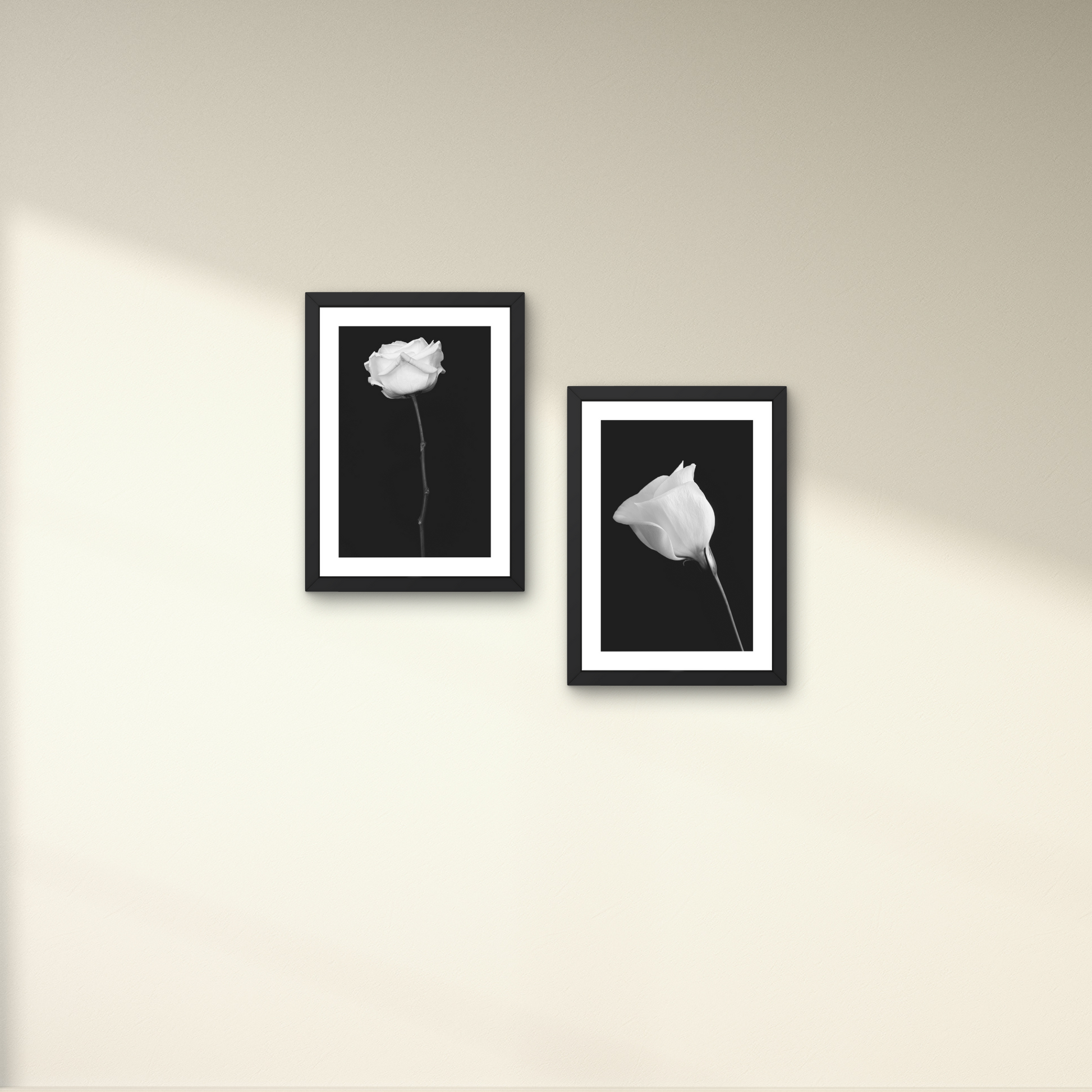 Pair of minimalist floral art pieces featuring delicate white flowers on a black background.



