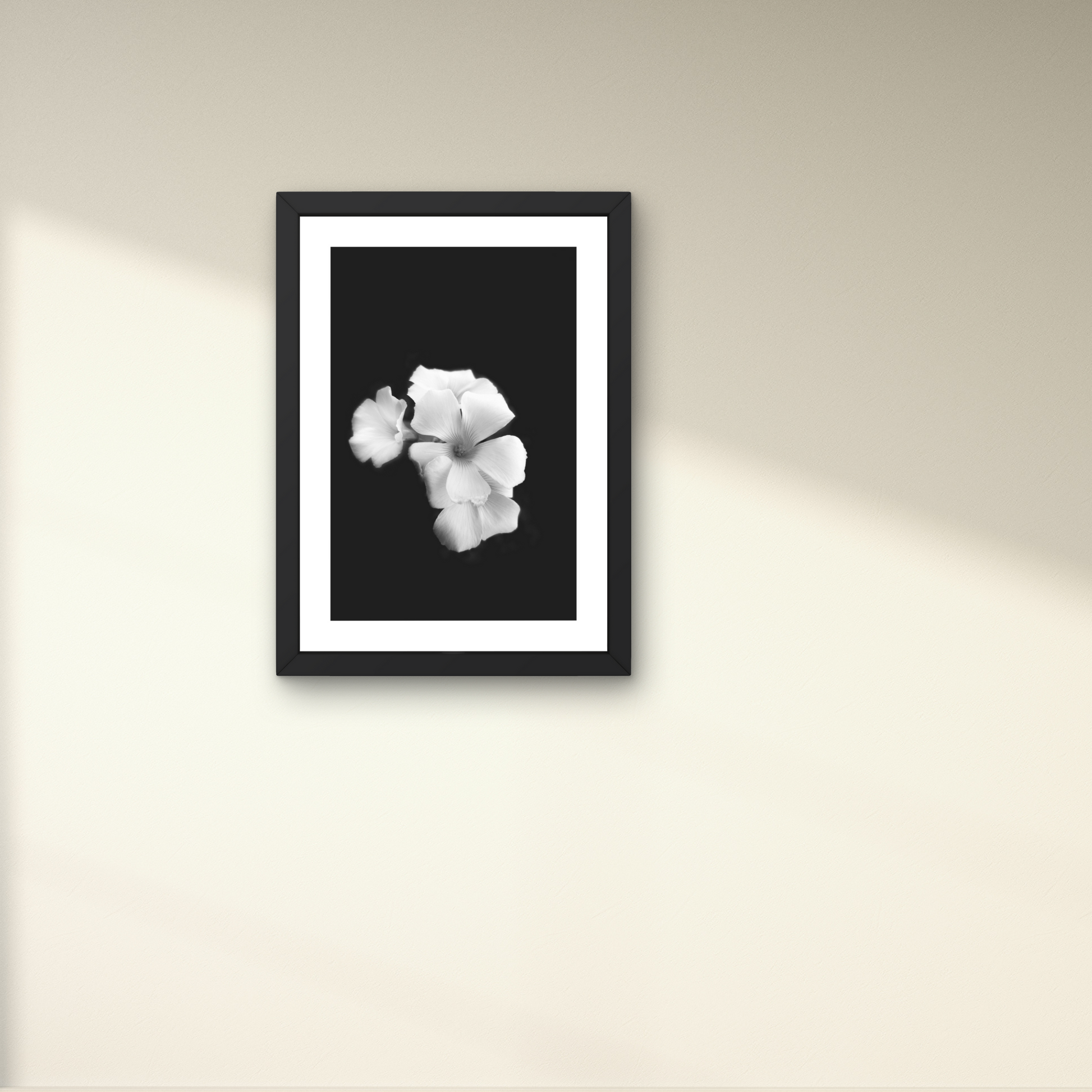 Minimalist floral art in black and white, featuring petals illuminated by moonlight.




