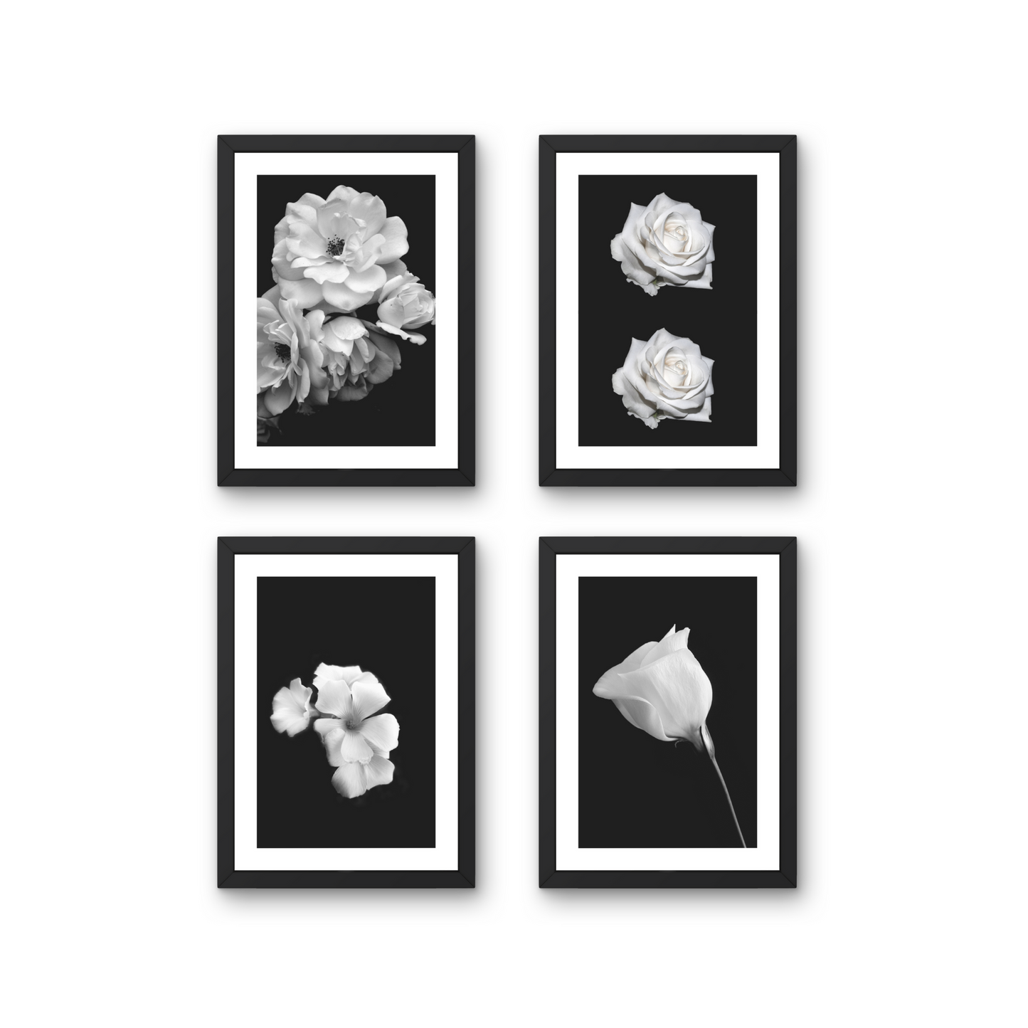 Set of four minimalist floral wall art pieces in black and white, ideal for home decor.



