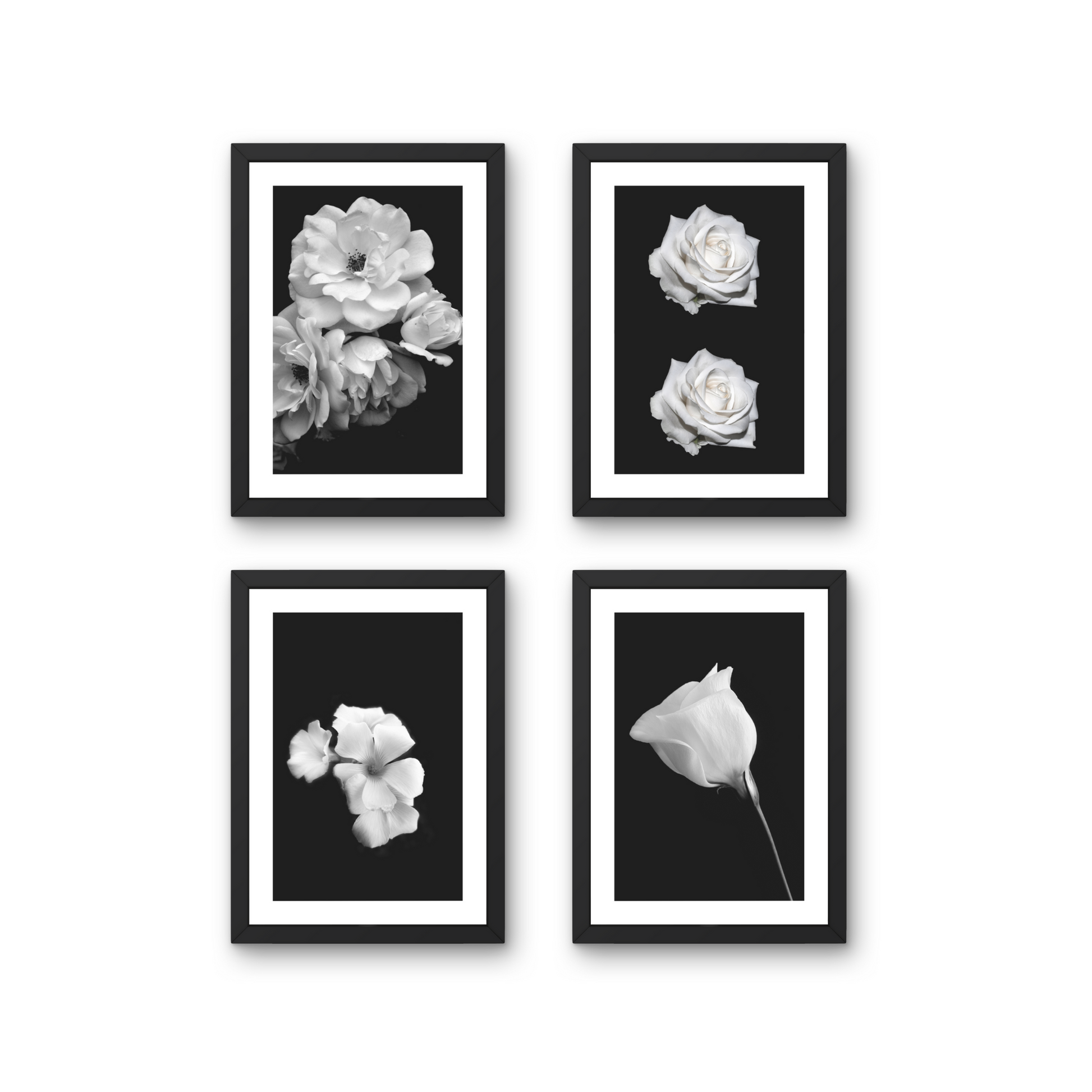 Set of four minimalist floral wall art pieces in black and white, ideal for home decor.



