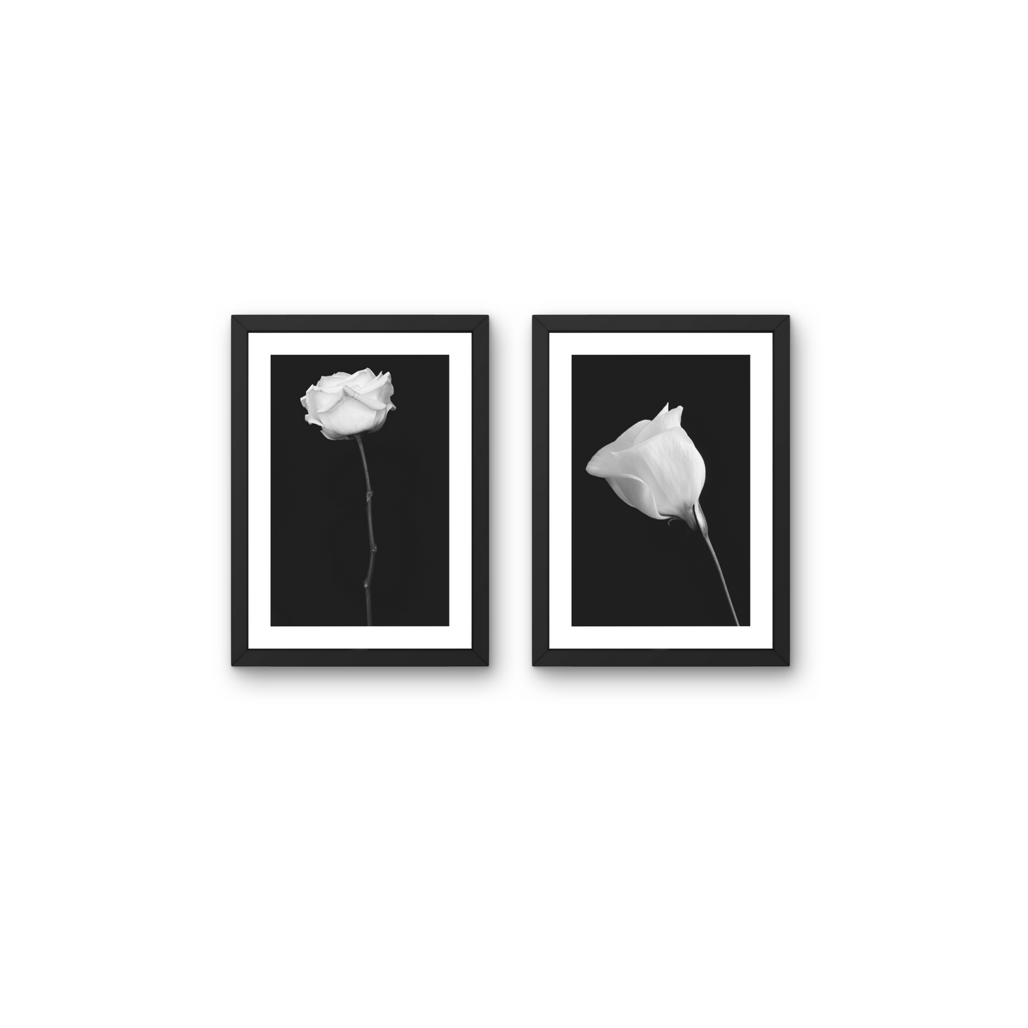 Pair of minimalist floral art pieces featuring delicate white flowers on a black background.



