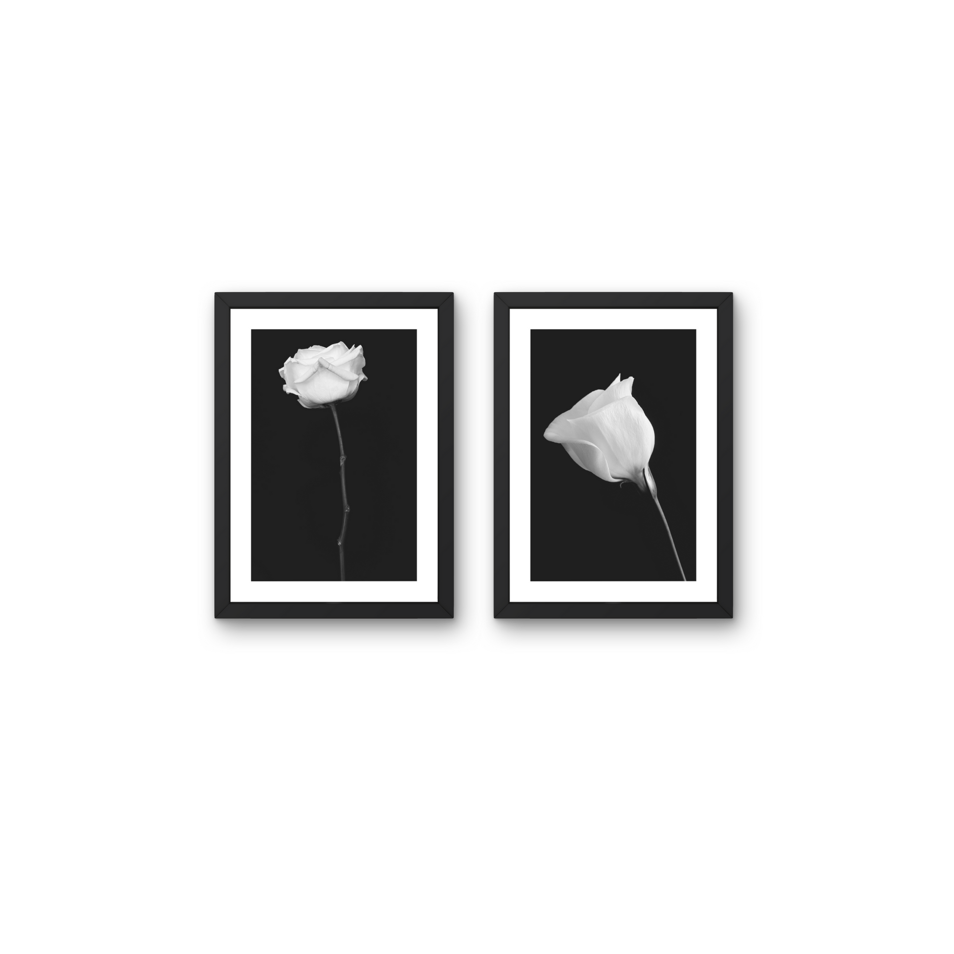 Pair of minimalist floral art pieces featuring delicate white flowers on a black background.



