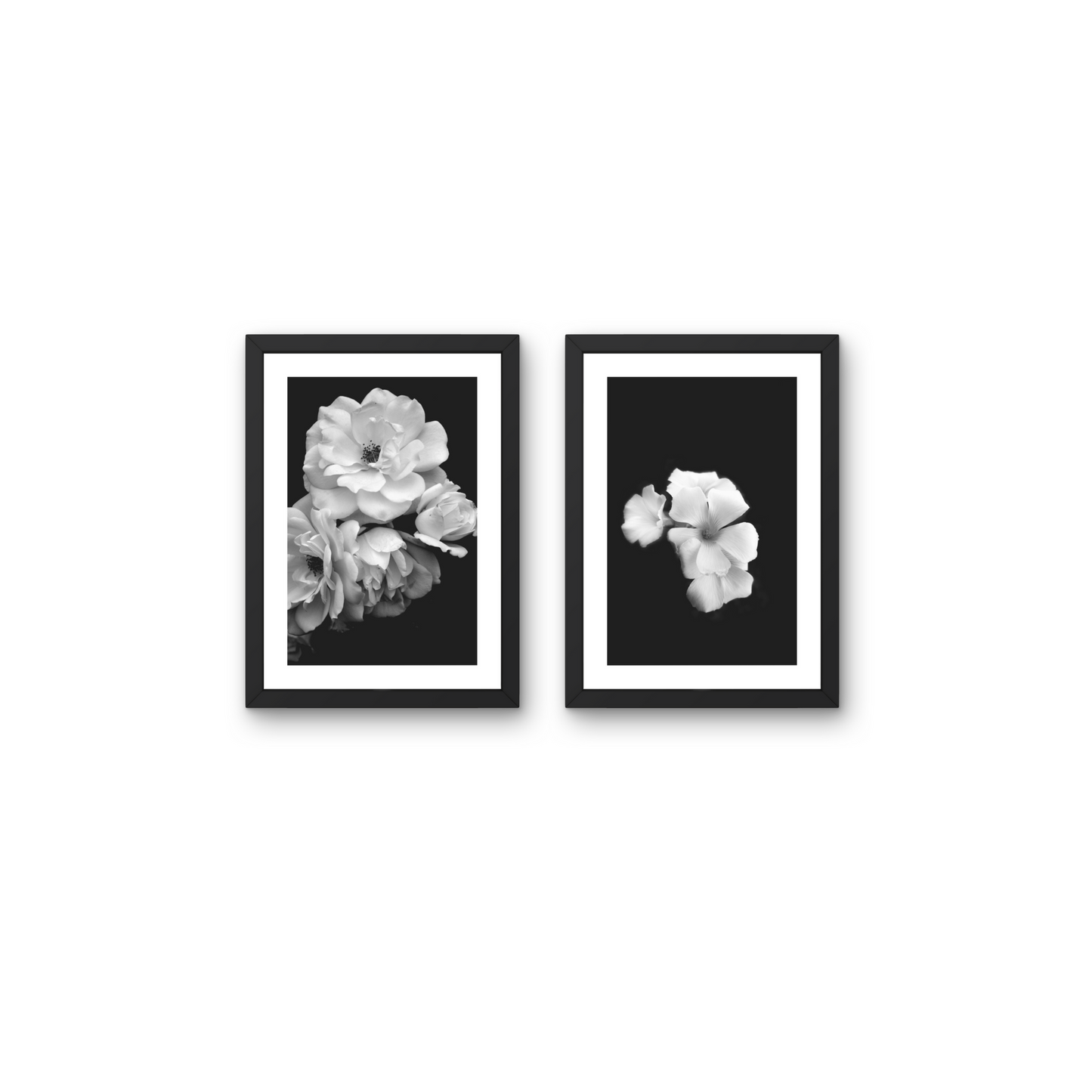 Elegant black and white floral wall art with soft petals against a dark background.



